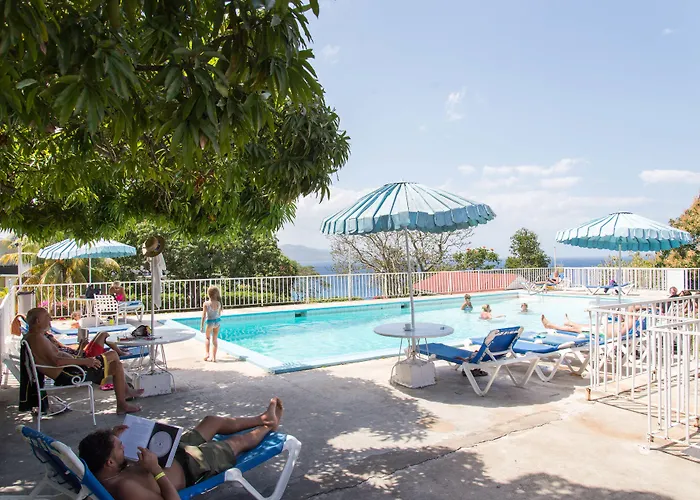 Garden At Club Hotel Montego Bay